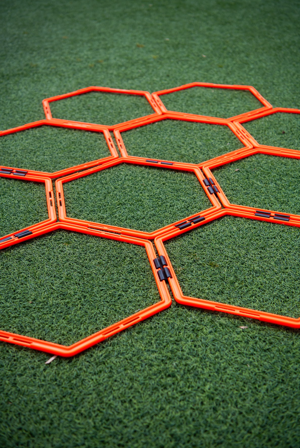 Hexagon Rings Set Up Portrait