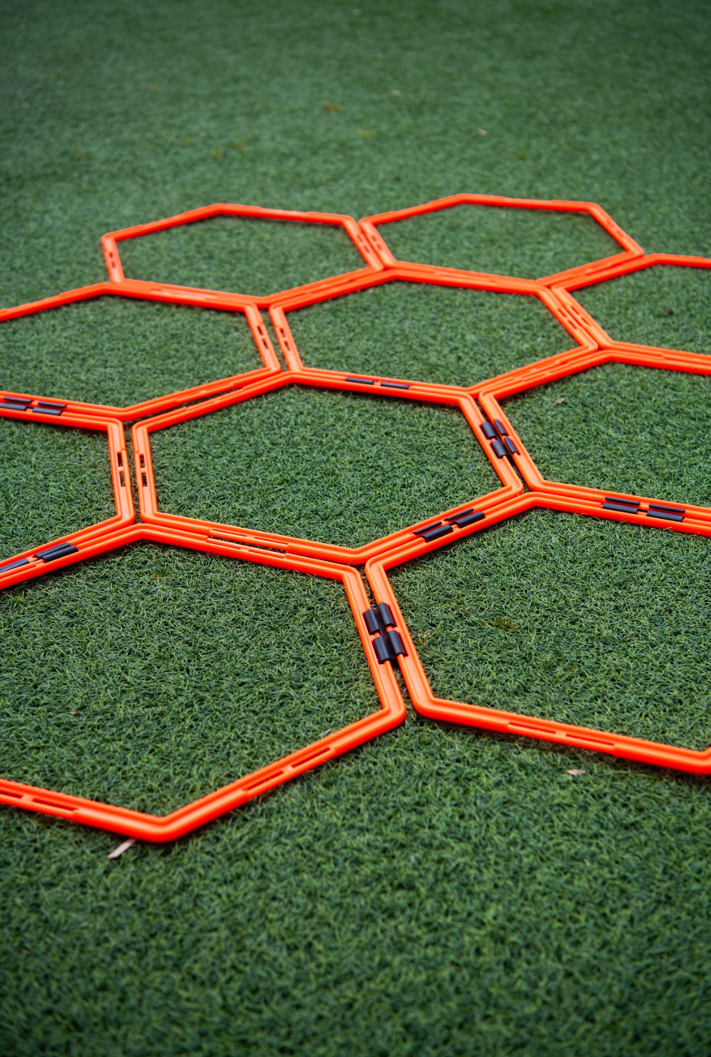Hexagon Rings Set Up Portrait