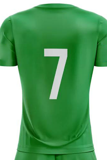 SJSA Shirt in Green back view