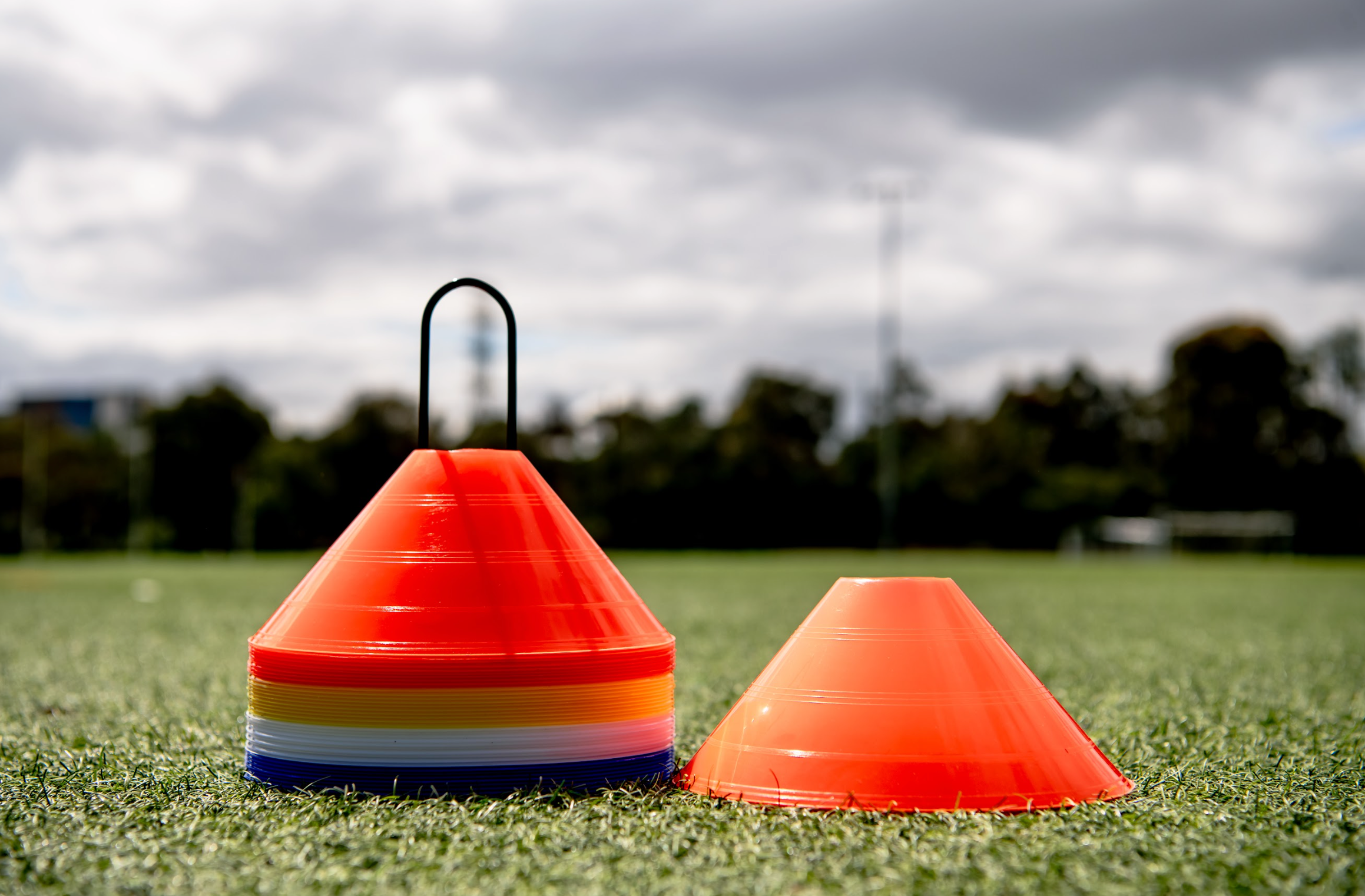 40 Piece Cone Set Display With Single Cone Beside It Landscape