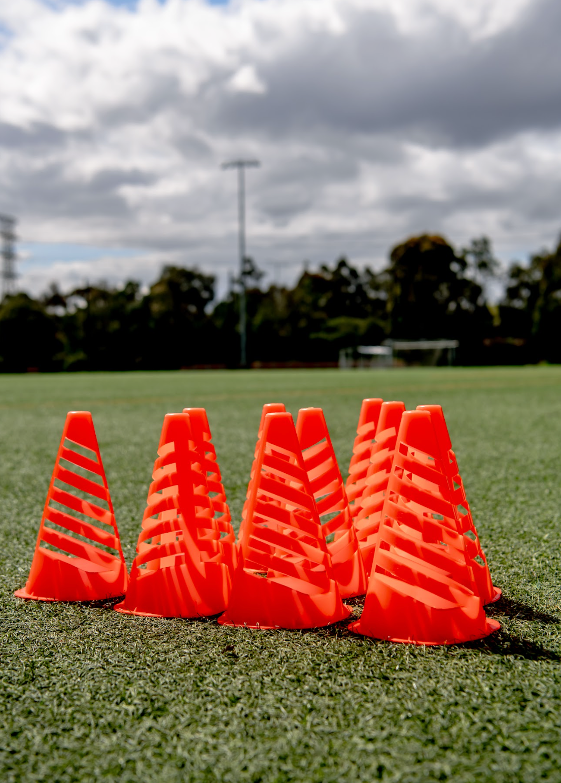 Set Of 10 Flex Cones Portrait