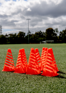 Set Of 10 Flex Cones Portrait