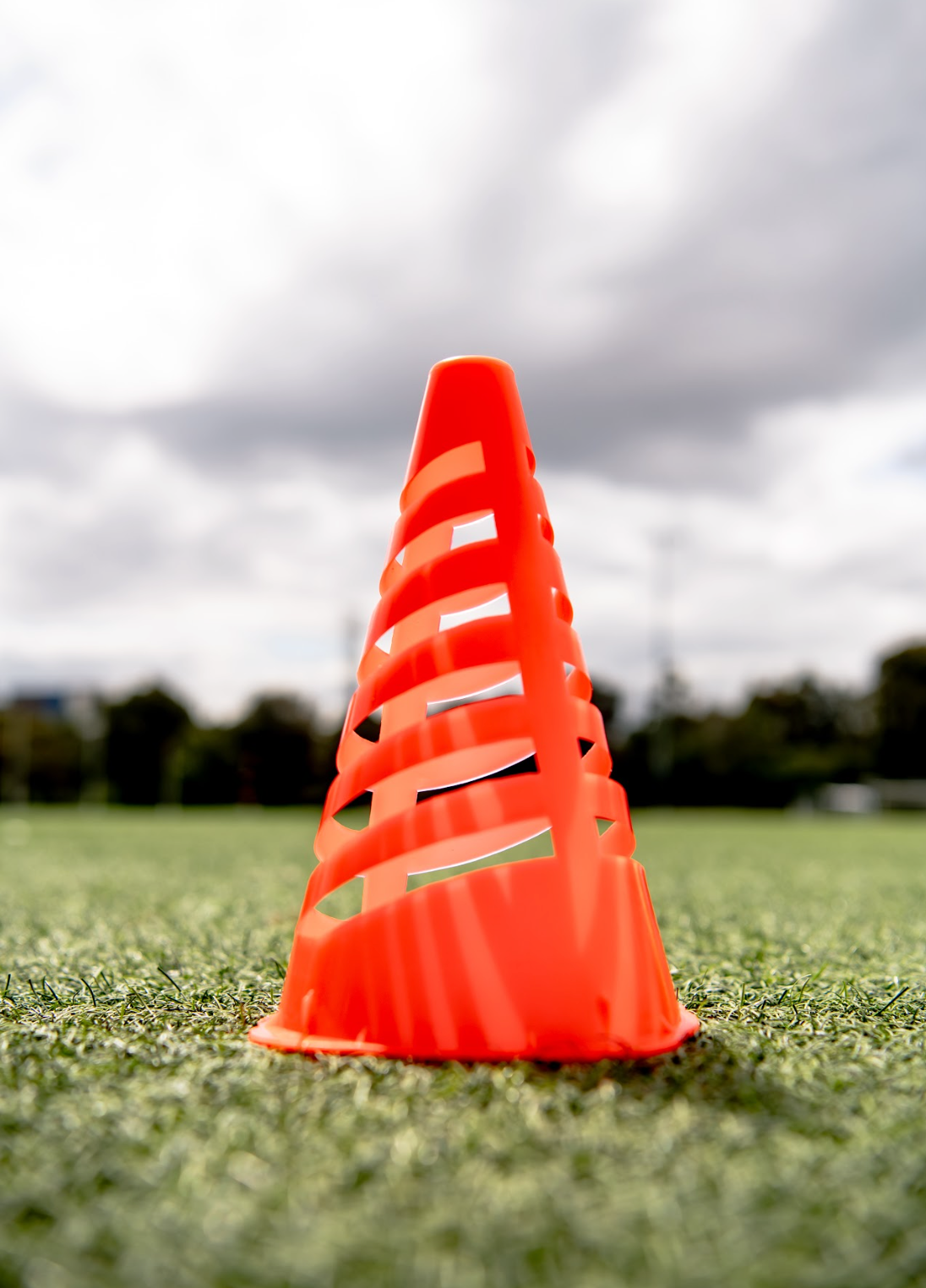 Single Flex Cone Portrait