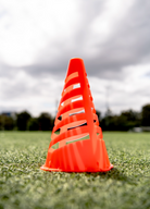 Single Flex Cone Portrait