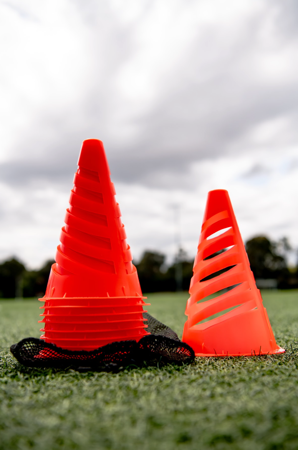 Set of 10 Flex Cones With Bag and Displayed