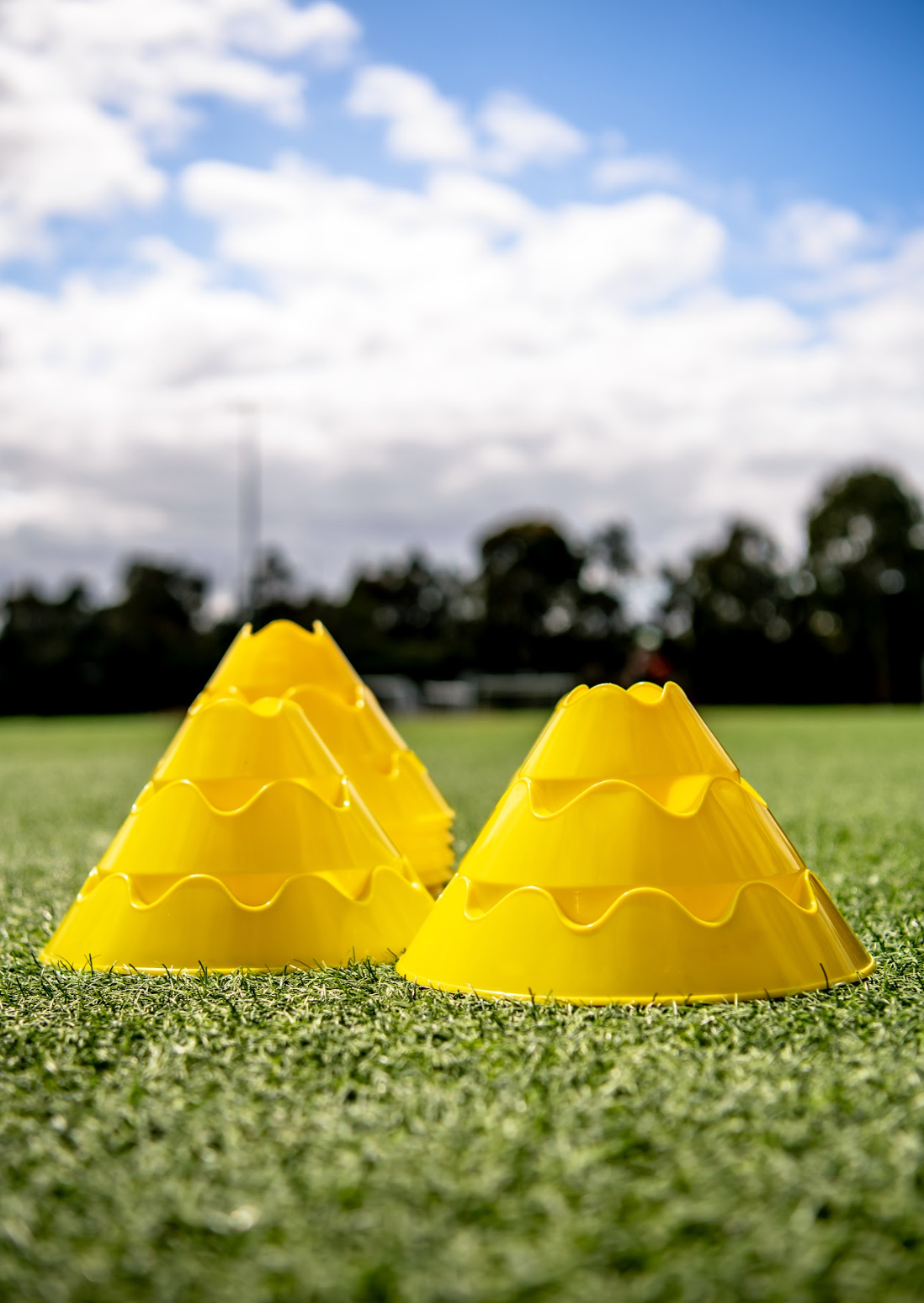 Large Disc Cones Yellow Portrait From Ground Level