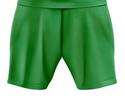 Green SJSA SHORTS back view