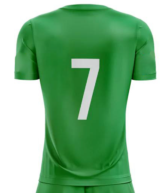 SJSA Shirt in Green back view
